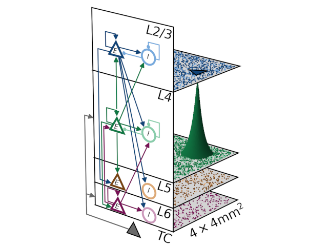 _images/network_model_sketch_mesocircuit.png